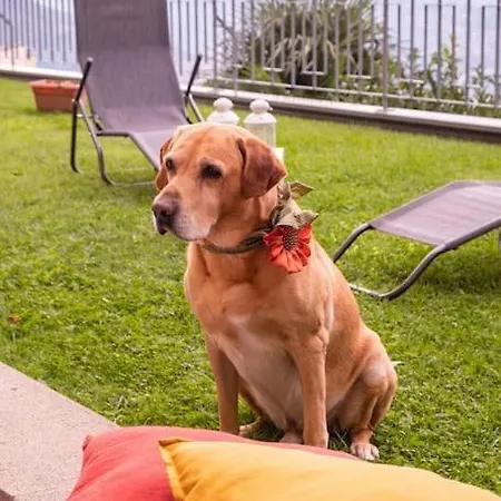 شقة Yellow House -